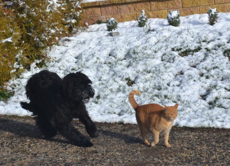 ..."ona se totiž nechce rozběhnout"...